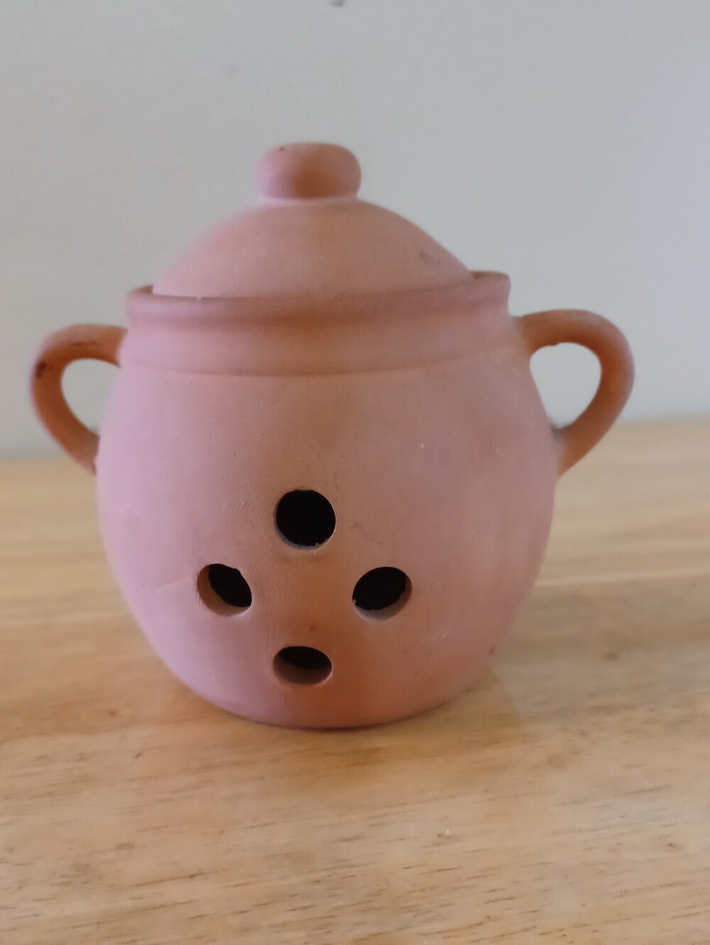 NWOB Natural Terracota  Garlid Pot Storage Container